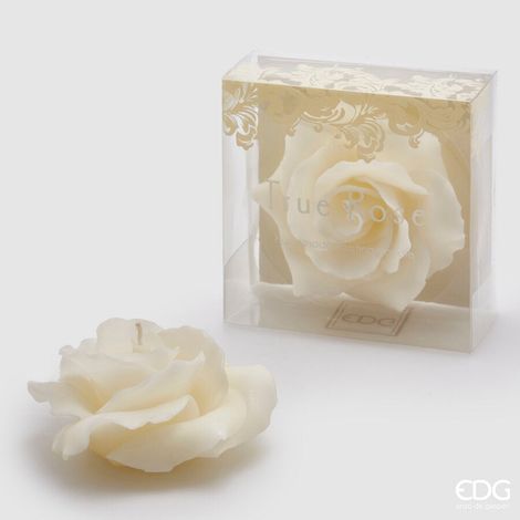 EDG Enzo De Gasperi Candela a forma di Rosa Galleggiante D11 (No-Perlata) 8 Ivory Avorio