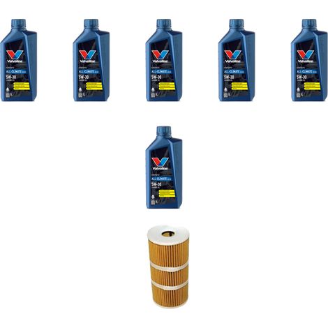 Kit filtro olio e 6L compatibile con Nissan X-Trail (T32) 1.7 dCi 96kw Dal 2019 (1/2)