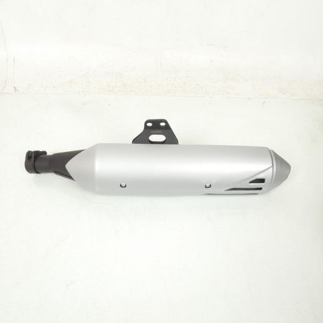 Original-Auspuffschalldämpfer für Motorrad Rieju 250 Tango nach (1/5)
