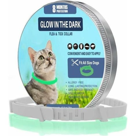 Collier Anti-puces Anti-tiques - Étanche - Lumineux Dans Le Noir - Réglable - Protection 8 Mois - Pour Chien Et Chat - 1 Pièce (1/5)