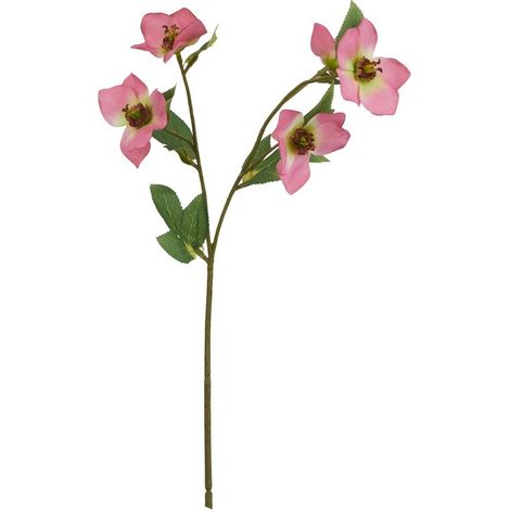 The Natural Garden Collection Varigated Hellibore - Artificial Flower (Single Stem) - Plastic - H47 cm - Pink