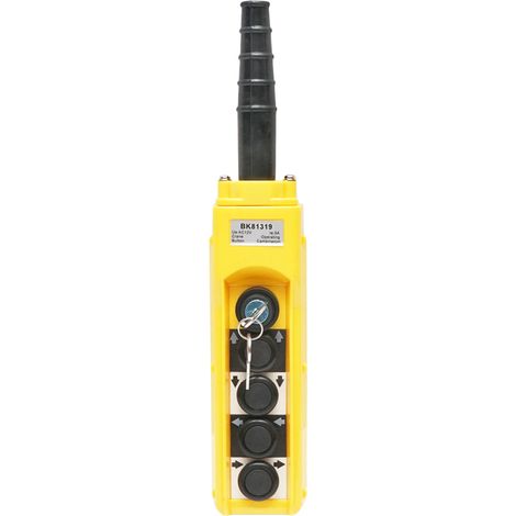 Telecomando industriale a 4 comandi e contatto generale con chiave 12V Breckner Germany (1/5)