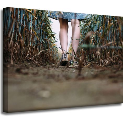 Leinwanddruck Natur Ein Spaziergang auf dem Feld 40x30 cm