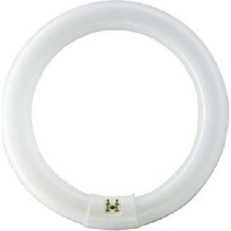 Philips 559678 G10q 32W 830 Bombilla - MASTER TL-E Circular Super 80 - Blanco Cálido (1/3)