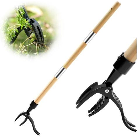 Tondeuse à gazon à manche en bois, 1,1 m, tondeuse à pédale avec 4 dents métalliques, tondeuse verticale, outil de jardinage adapté aux animaux domestiques. (1/4)