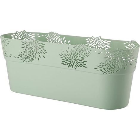 Estuche ovalado de aster de 32 cm en perfecto estado (1/5)