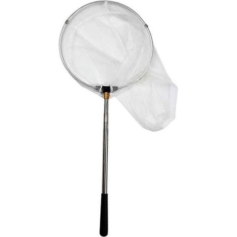 Épuisette à papillons télescopique d'extérieur, avec poignée en acier inoxydable, blanche. (1/4)