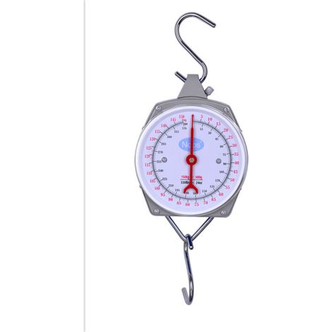Balance suspendue, balance de valise avec crochet, gris, 200 kg (1/5)