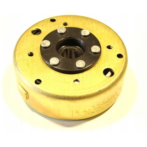 Magneto Magnetrad Zündkerze GY6 139 QMB 4T Quest Baotian Zipp Scooter (1/5)