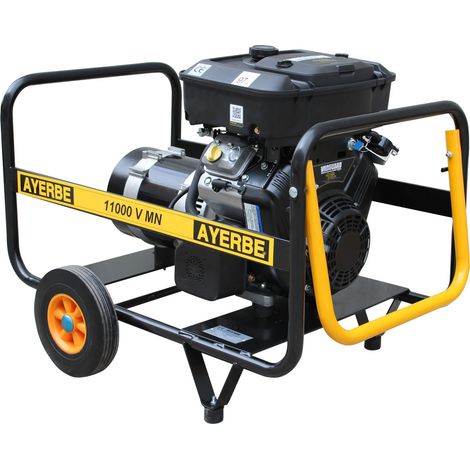 AYERBE - 5417980 - Générateur 11000 V MN - Moteur Vanguard Monophasé