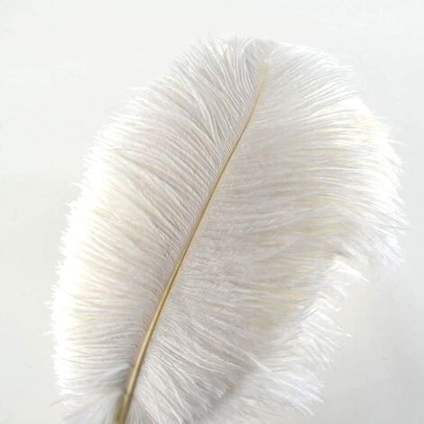 Lot de 10 Plumes d’Autruche (Blanc) Creny de 30 à 35 cm pour décoration d’intérieur ou Mariage (1/5)