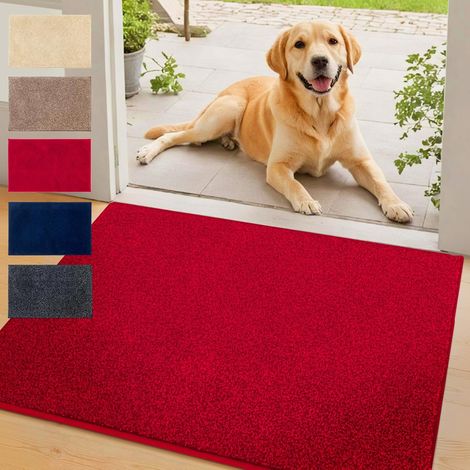 Tapis d'entrée absorbant Nasa Rouge 137 x 210 cm