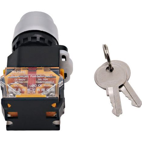 Copper-plated silver dot key two-position switch LA38-11Y/2 with key knob power lock push button switch (1/3)