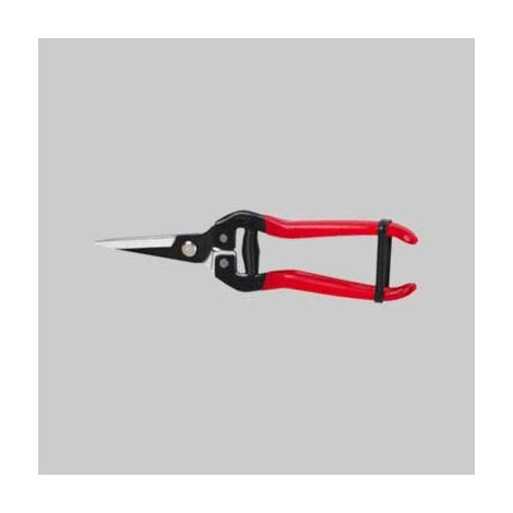 Forbici coglifrutta e ortaggi ideal star 19 cm