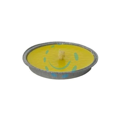 CITRONELLA GRANDE IN CIOTOLA DI ALLUMINIO - ø cm.16x2h.