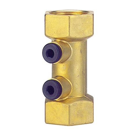 Raccord clapet anti-pollution WATTS 2224107 femelle-femelle laiton