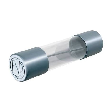 Püschel Feinsicherungen FSM1,6B FSM1,6B Fusibile (Ø x L) 5 mm x 20 mm 1.6 A 250 V Semi ritardato Contenuto 10 pz.