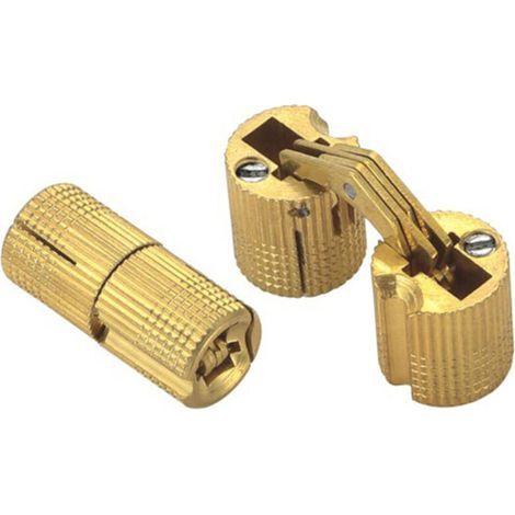 10 Pcs Charnières Cylindriques en Laiton,Caché Charnière Invisible Tonneau pour DIY Porte en Bois Armoire Caravane,12 mm (1/5)