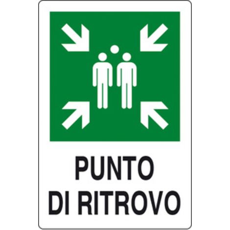 1PZ TARGA PUNTO DI RITROVO 300X200 ALLUMINIO NORMA EU