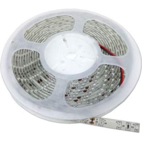 Silamp – Ruban LED 12V 5M 2835 IP65 2100lm/m – Blanc froid 6000K – Résistant à l'humidité – Pour intérieur et extérieur (1/2)