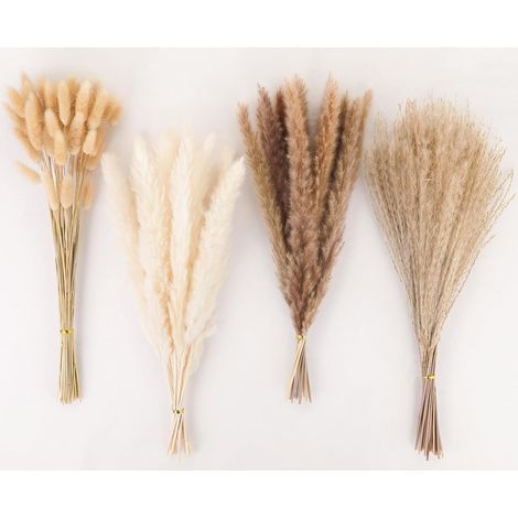 Pampas Sechees Decoration 100 pcs Decoration en Pampas Plume Fleurs Sechees (1/5)