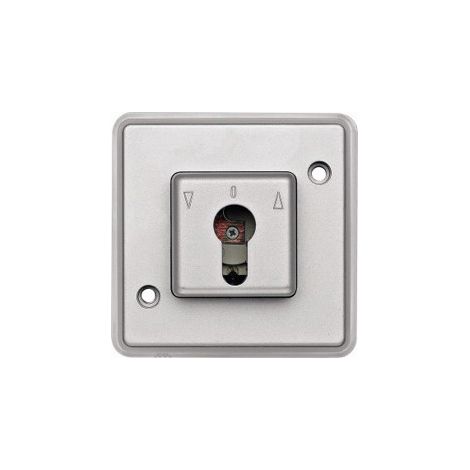 Interrupteur poussoir anti-vandalisme IP44, 2 poles 10A, à clé, volet roulant - Schneider Electric - MTN318460