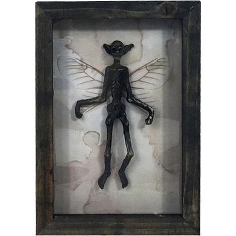 Fée momifiée gothique, squelette de fée, décoration de sorcière, spécimen de fée, statue, cadre photo, tableau, décoration intérieure, A (1/5)