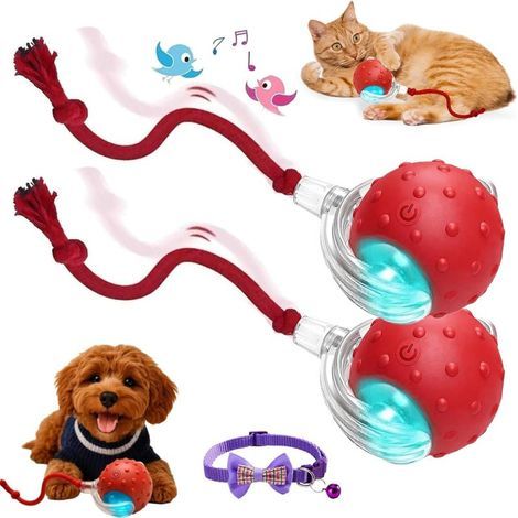 Tiny Fetch Motion Hundespielzeug 2.0, schnell beweglicher interaktiver Ball mit Vogelgesang, 360° automatisches Rollen (Red2) (1/5)