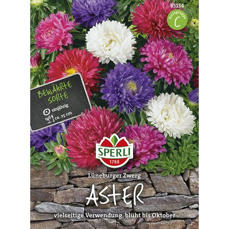 Sperli Zwerg-Sommerastern Lüneburger Zwerg Mischung - Blumensamen (1/2)