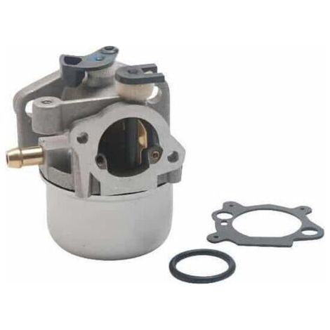 Carburateur adaptable Briggs & Stratton 790845 / 799871 avec starter automatique pour moteurs Quantum avant 2007 (1/4)