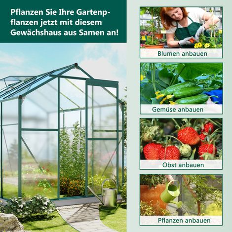 Serre en aluminium avec fondation : 4,75 m² (190 × 253 cm), incluant 1 fenêtre de toit & porte coulissante, serre de jardin, maison de plantes, serre à tomates (1/5)