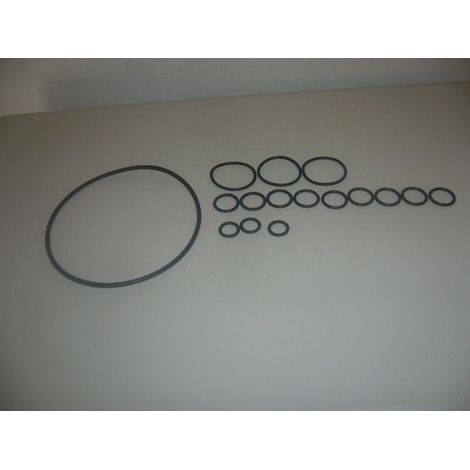 KIT ORING GUARNIZIONI IDROPULITRICI POMPE LAVORWASH ORIGINALI 6.005.0095 (1/2)
