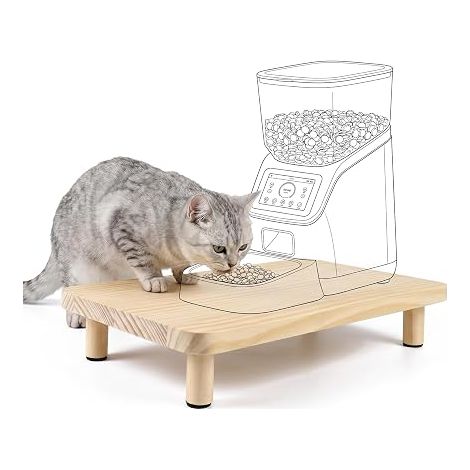 Cat Bowl, Stand for Cat Bowl (1/5)