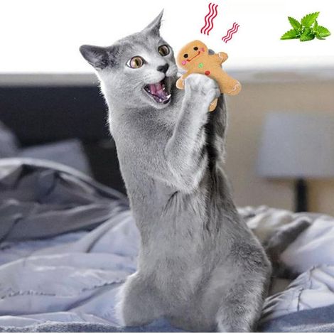 Lot de 3 jouets de Noël pour chiens et chats, jouets à mâcher en peluche avec chaussette festive pour animaux (1/5)