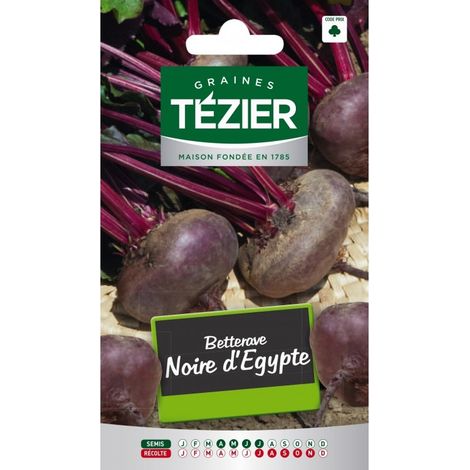 Tezier - Betterave noire d'Egypte