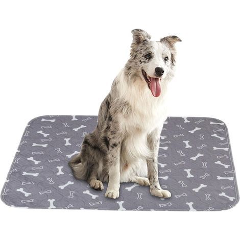 Tapis lavable pour chien, alèses lavables pour chiens, alèses réutilisables pour animaux de compagnie, alèses ultra-absorbantes pour chiots, tapis de sol imperméable pour chats, alèse (1/5)