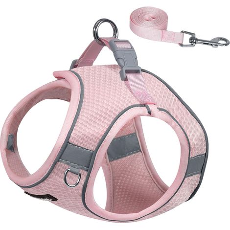 Harnais réglable anti-traction pour petit chien avec laisse, gilet respirant et réfléchissant pour promenade en toute sécurité