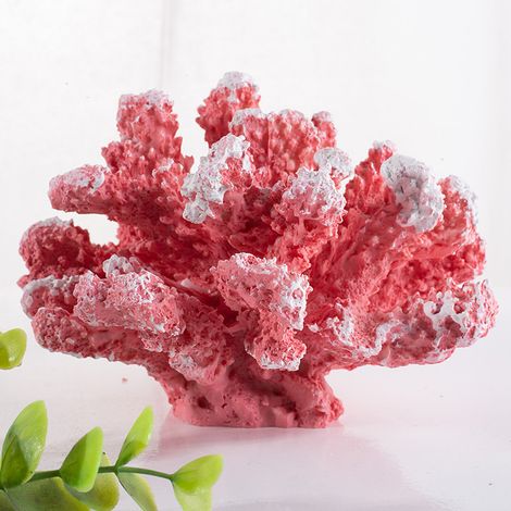 Stück rosa Koralle zur Dekoration eines Aquariums.