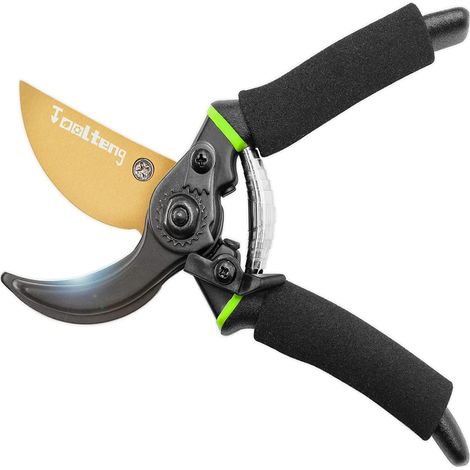 Sécateur en titane haut de gamme, cisaille de jardin ultra-tranchante et robuste, sécateur à main professionnel, ébrancheur, taille-haie, cisaille de jardin-AquaForge (1/5)