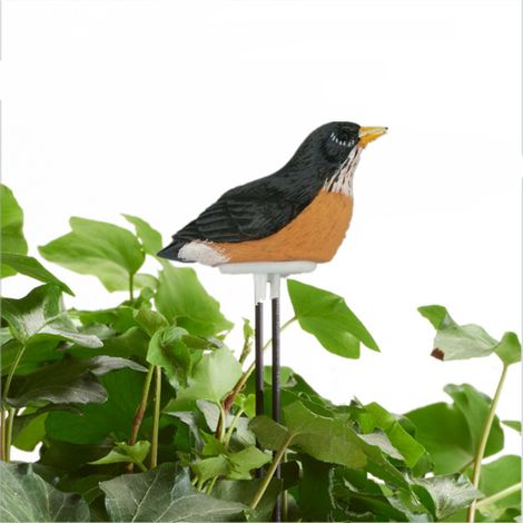 Feuchtigkeitsdetektor Mini Intelligenter Bodenfeuchtigkeitsdetektor Geeignet für Topfblumen und Pflanzen, Vogelform 90  180 MM - Schwarz
