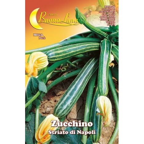 SEMI ORTO ZUCCHINO STRIATO NAPOLI HORTUS SEMENTI PZ 10,0
