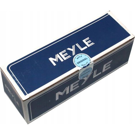 Pompe à eau Meyle VW 1.8/2.0TFSI (module) (1/5)