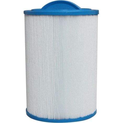 Filtre spa WE25 Gota Pure pour Wellis Spa (1/5)