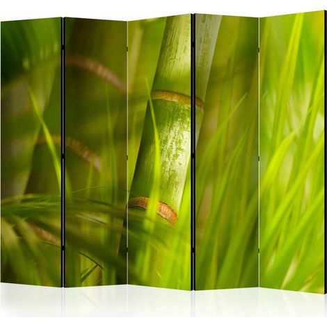 Paravento - bamboo - nature zen II [Room Dividers] - 225x172 (1/4)