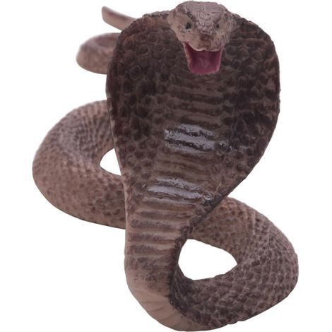 Pour les lunettes amphibies Cobra Snake, modèle Kingsnake, ornements de jouets Tidy Toy-- (1/5)