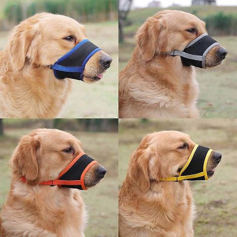 Muselière pour chien réglable et sécurisée pour races moyennes et grandes - Bleue (1/4)