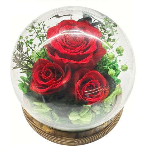 Caja de regalo con flores preservadas: cúpula esférica de cristal con tira de LED integrada un regalo práctico para cumpleaños y San Valentín. Modelo 2
