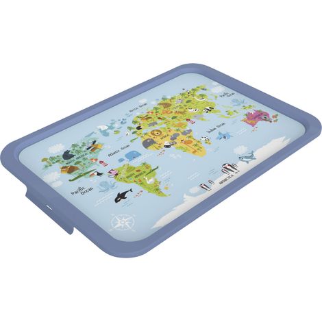 Rotho Deckel zu Box Albris 45 L IML 57 x 39,2 x 3 cm (LxBxH) Aufbewahrungsbox