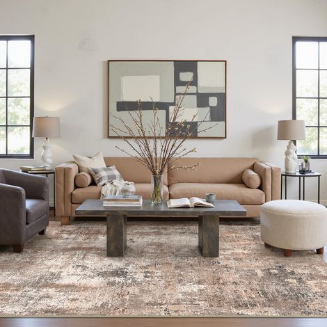 Tapis Salon Résumé 200x290cm Lavable en Machine Rug AntidéRapant Poil Ras, pour Chambre Salle a Manger Descente de Lit Bureau, Cuisine, Brun et Crème (1/5)