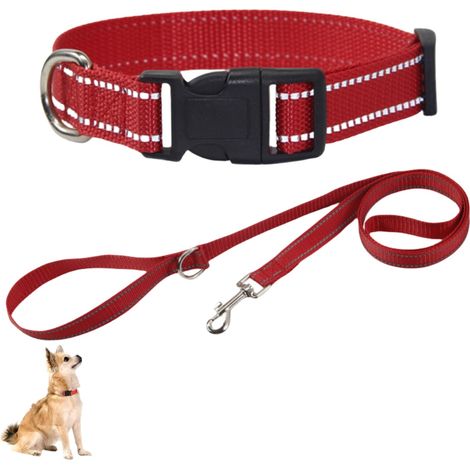 Collier en nylon réfléchissant pour petit chien (1/5)